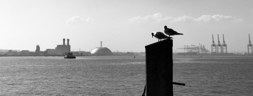 A black and white photo of two seagulls perched on a post, with a seascape behind them. you can see the cranes in the port, and a boart.
